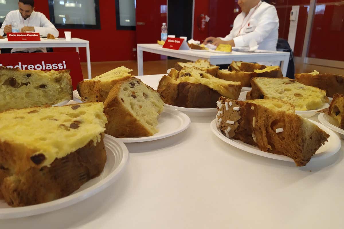 La prova d'assaggio a Re Panettone Fiorenzo Ascolese è il re del panettone tradizionale