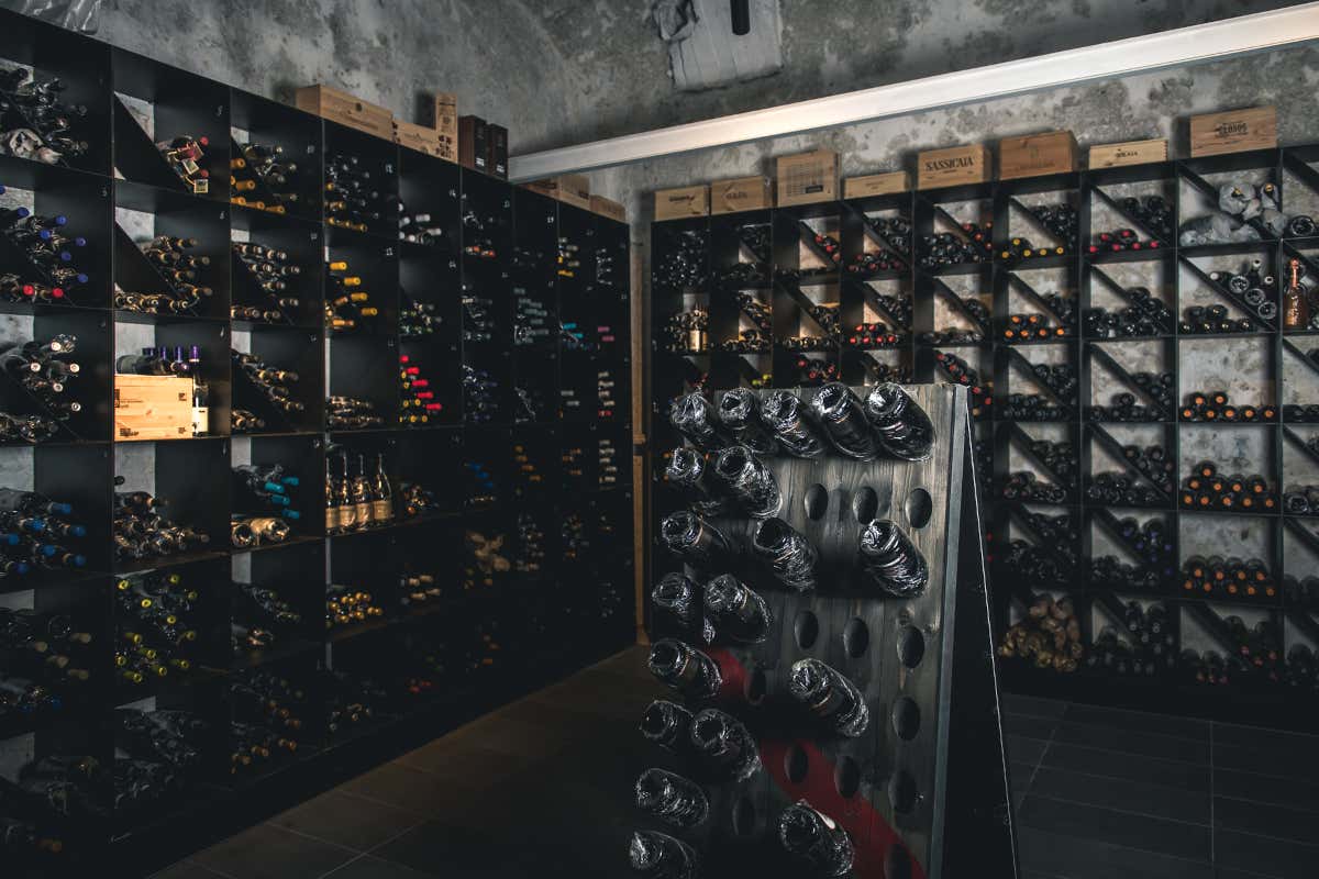 Ricca proposta di vini Re Santi e Leoni, tutta la creatività di Salomone Ricca proposta di vini Re Santi e Leoni, tutta la creatività di Salomone