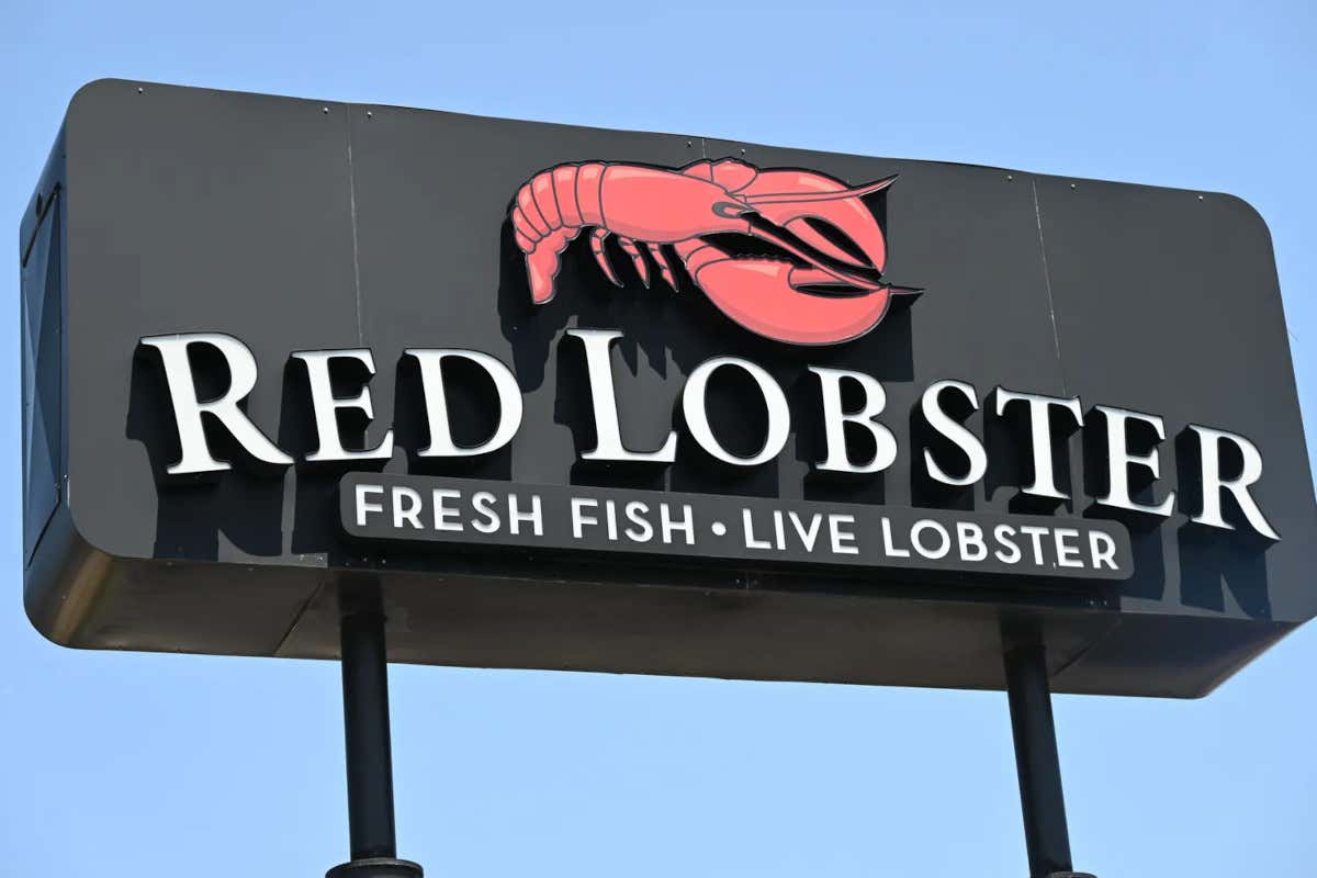 Lobster