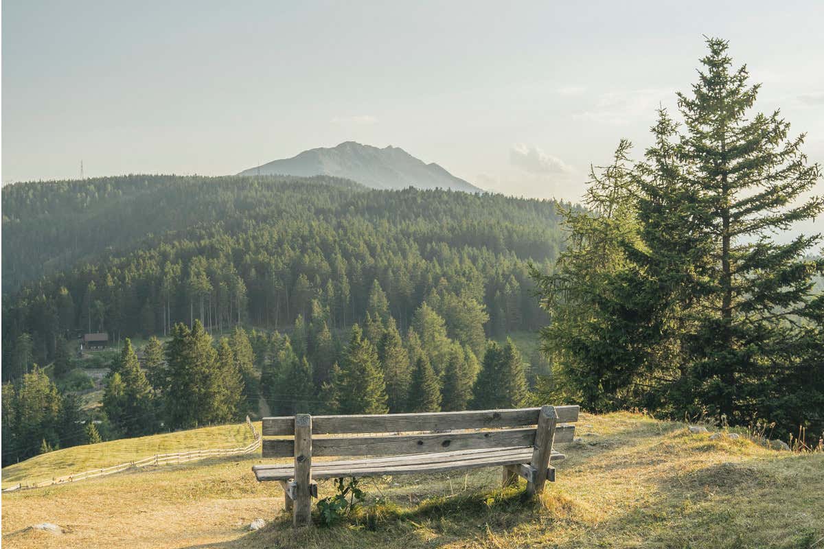 Escursioni nella regione di Lana, tra montagne e natura incontaminata