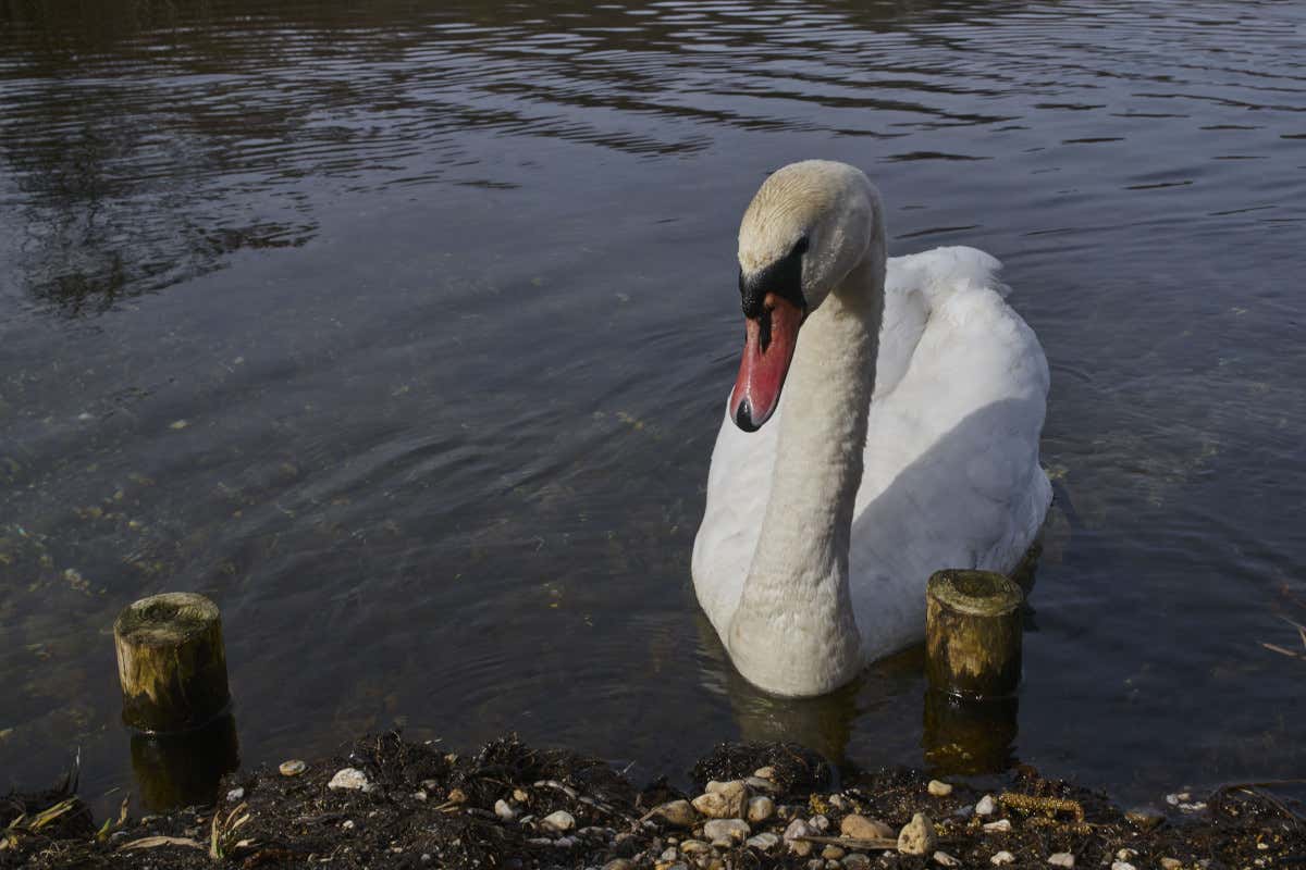 L'Inghilterra una fogna a cielo aperto: il turismo finirà tra le vittime? L'Inghilterra una fogna a cielo aperto: il turismo finirà tra le vittime?