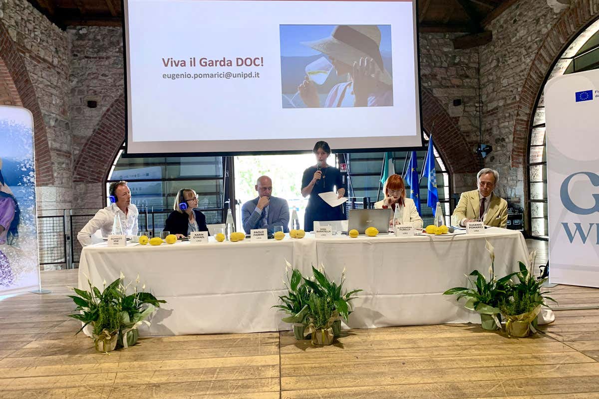 Consorzio Garda Doc tra vini low alcol, enoturismo e nuovi consumatori Consorzio Garda Doc tra vini low alcol, enoturismo e nuovi consumatori