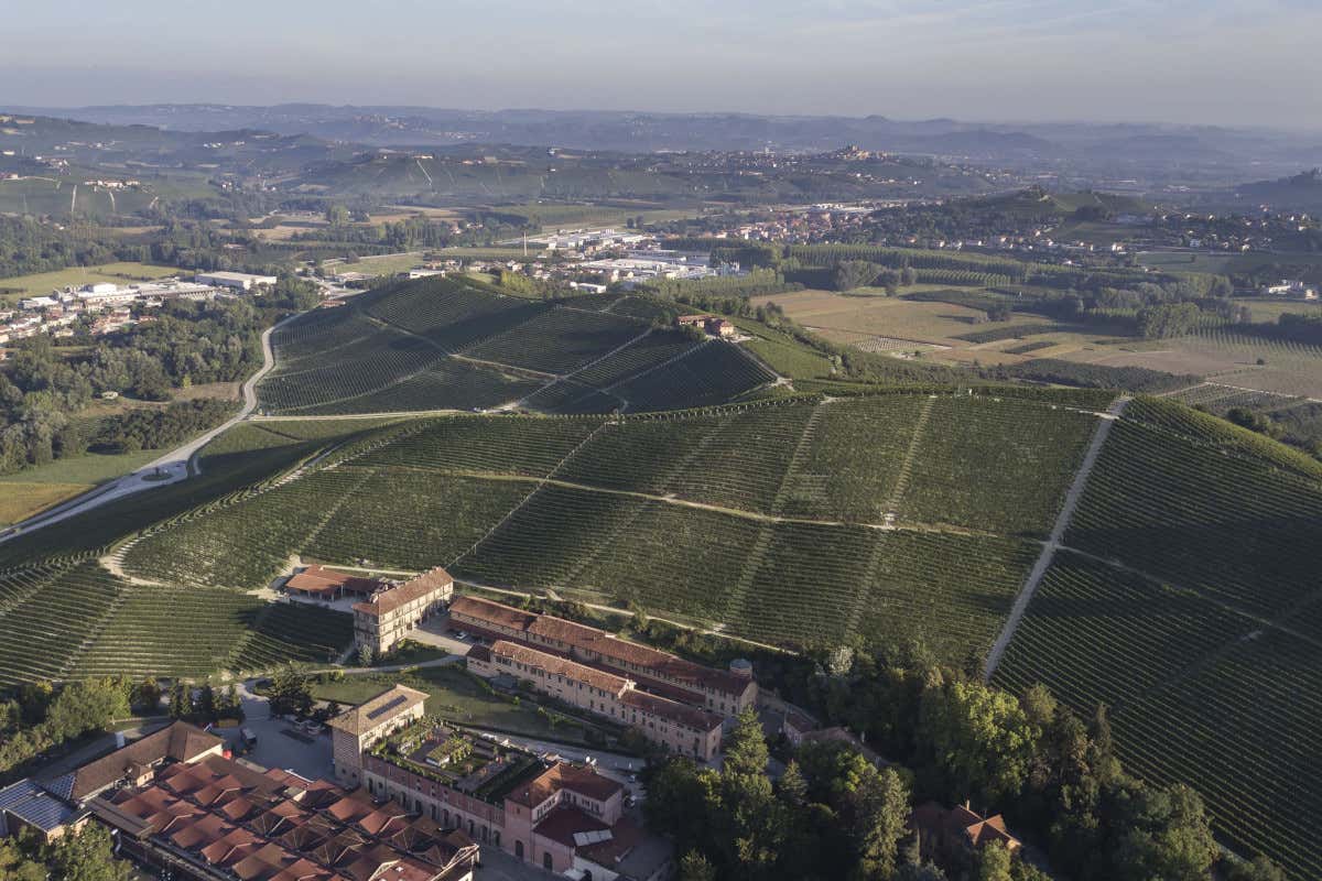 Barolo Renaissance 2022: Fontanafredda dedica l’annata alla Tenacia