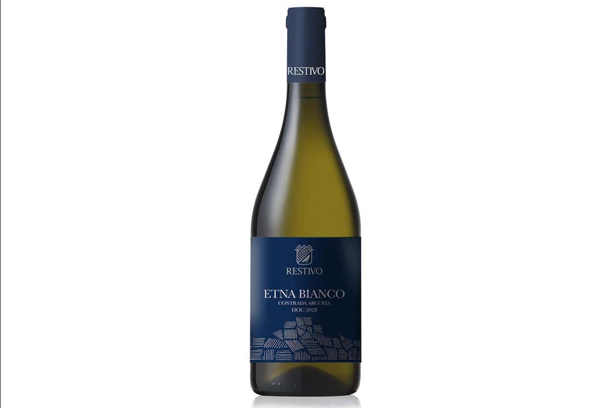 Ecco Quali Sono I Grandi Vini Autoctoni Italiani Selezionati Da 