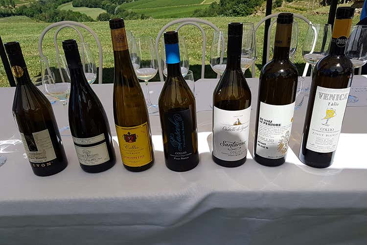 7 vini, 7 viaggi, 7 emozioni Sette aziende per il Pinot Bianco Rete d&rsquo;impresa nel Collio