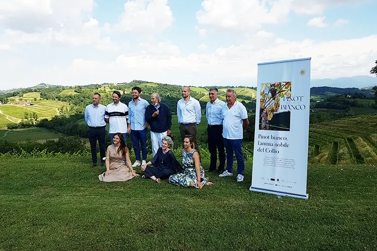 Rete d&rsquo;impresa Pinot Bianco nel Collio Sette aziende per il Pinot Bianco Rete d&rsquo;impresa nel Collio