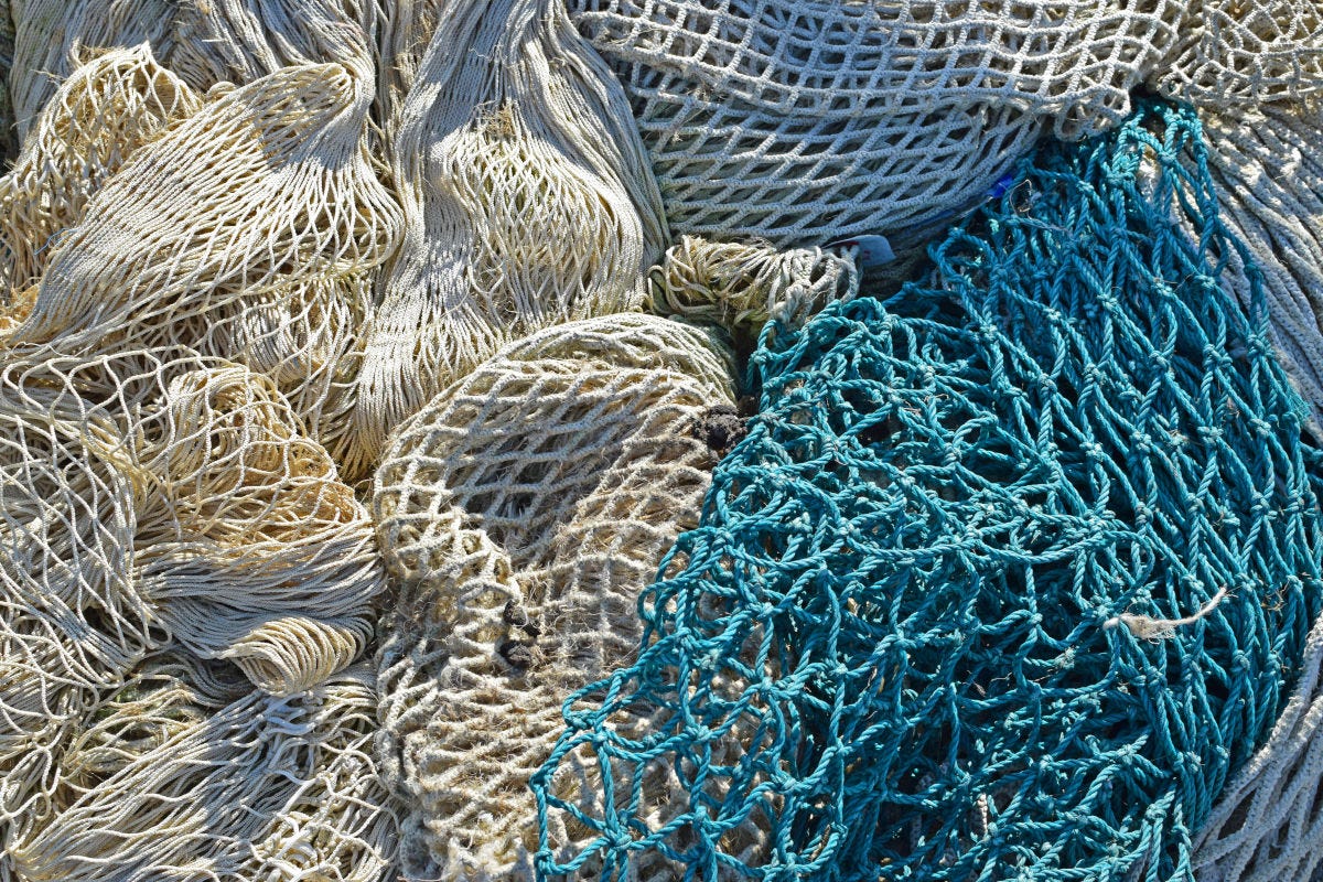 Mediterraneo e Mar Nero la pesca eccessiva interessa ancora il 73% delle specie