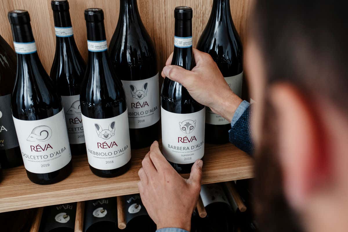 Altre etichette della cantina Réva