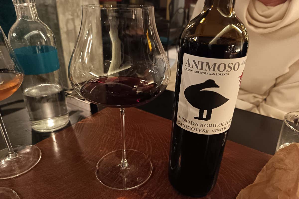 Dentro Ribelle e Rascasse, il locale dove il vino naturale diventa racconto