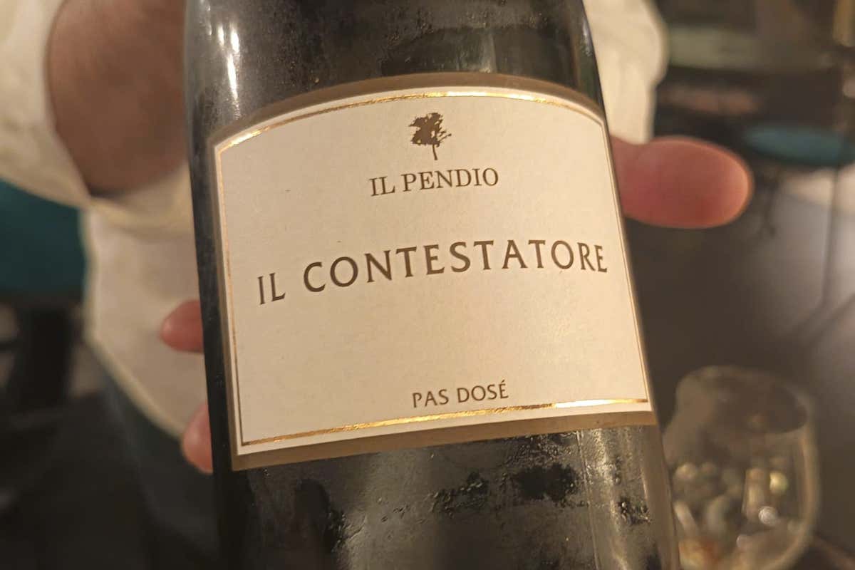 Dentro Ribelle e Rascasse, il locale dove il vino naturale diventa racconto