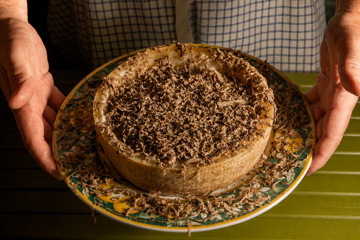 Risotto al tartufo estivo