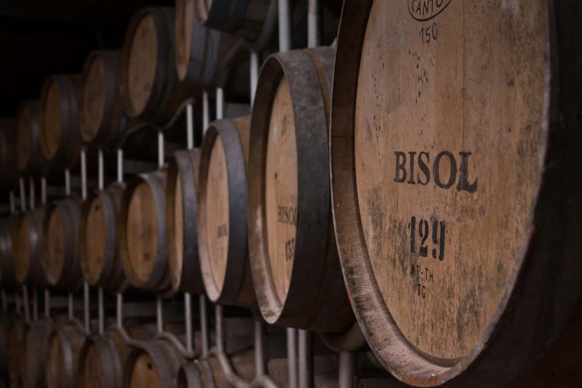 La cantina di Bisol 1542