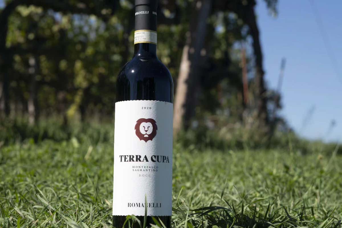 Montefalco Doc Sagrantino Terra Cupa 2020