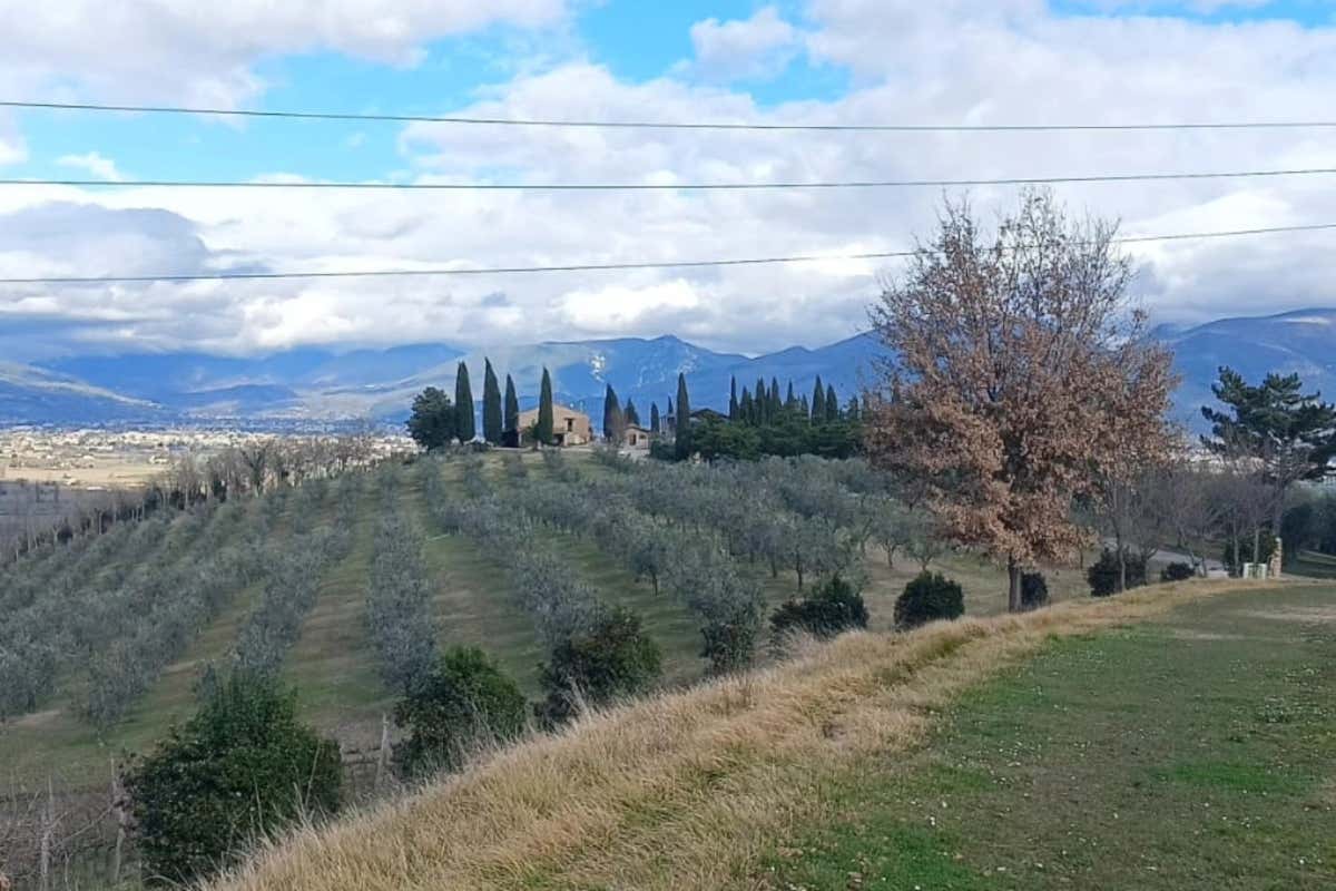 La zona di Montefalco (Pg) dove la famiglia Romanelli produce i suoi vini