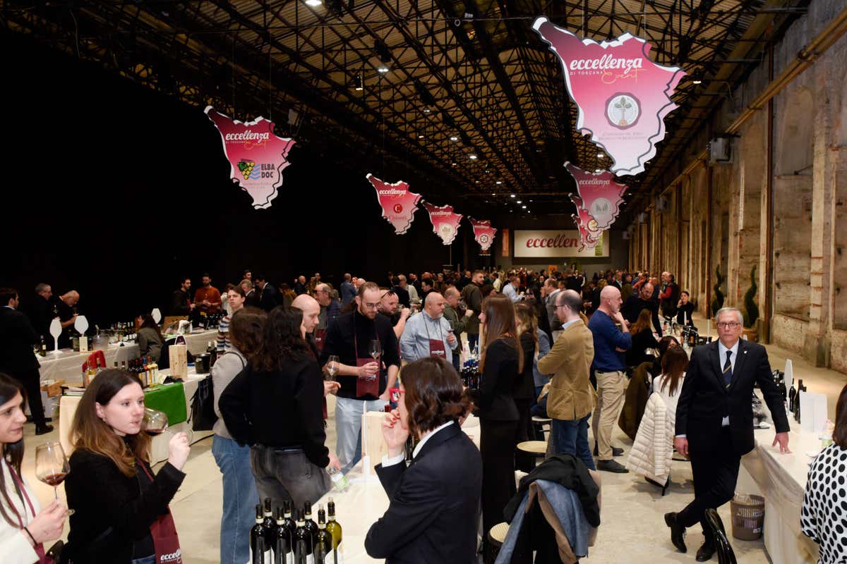 Dalla guida Ais una selezione dei migliori vini della Toscana, uno per provincia