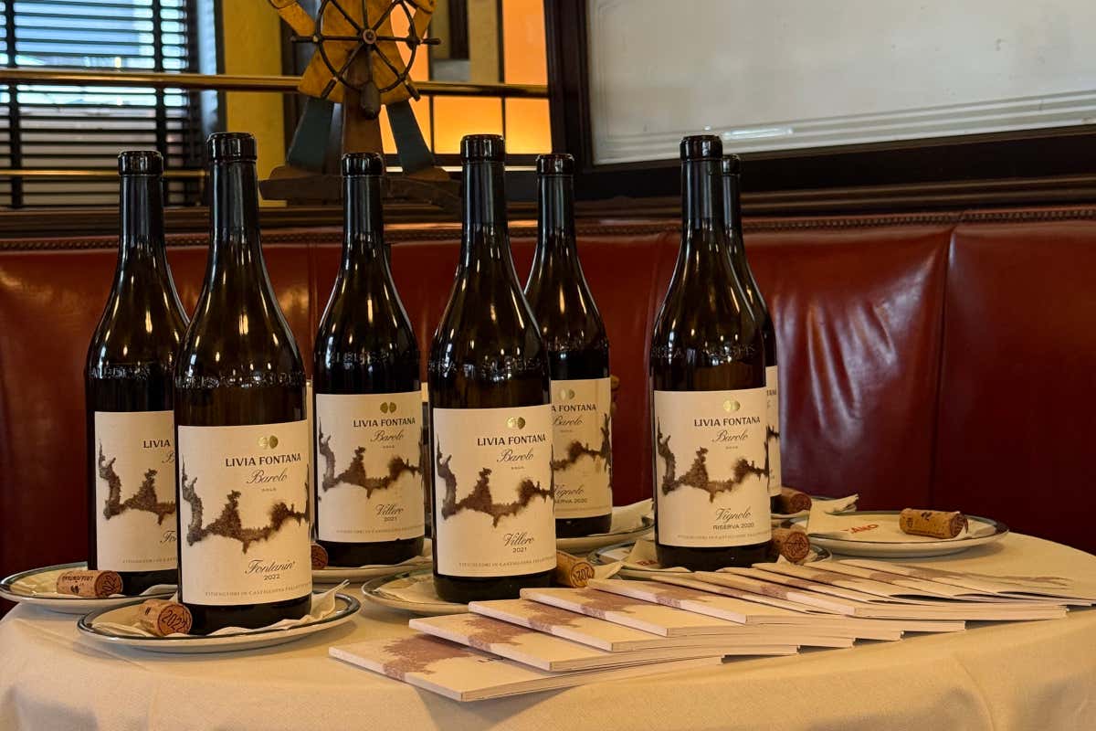 Livia, Michele e Lorenzo Fontana: così nasce il Barolo che guarda lontano Livia, Michele e Lorenzo Fontana: così nasce il Barolo che guarda lontano