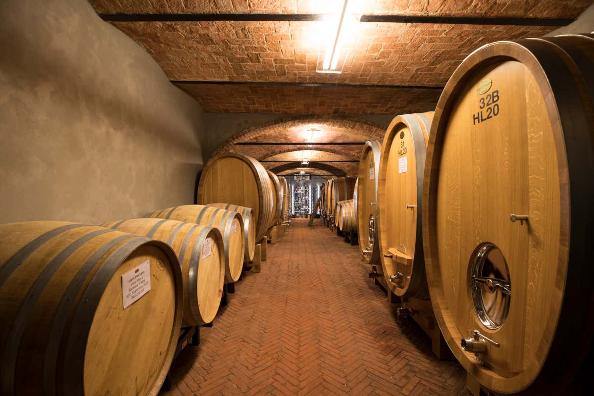 Livia, Michele e Lorenzo Fontana: così nasce il Barolo che guarda lontano Livia, Michele e Lorenzo Fontana: così nasce il Barolo che guarda lontano