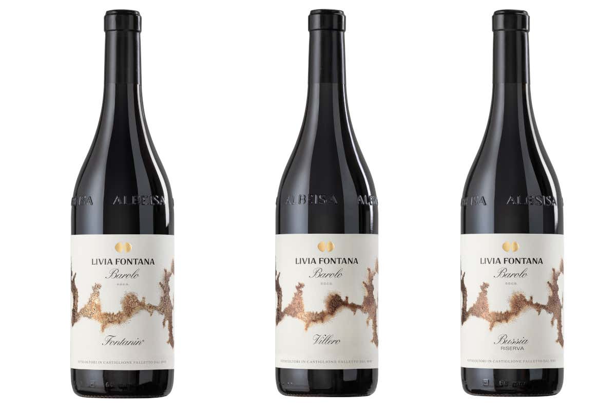Livia, Michele e Lorenzo Fontana: così nasce il Barolo che guarda lontano Livia, Michele e Lorenzo Fontana: così nasce il Barolo che guarda lontano