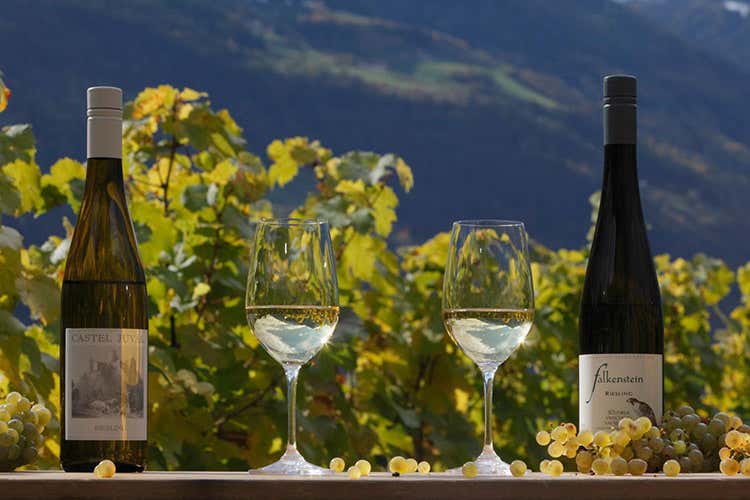 Riesling protagonista per 5 settimane tra ottobre e novembre (Le Giornate del Riesling A Naturno degustazioni e visite) Riesling protagonista per 5 settimane tra ottobre e novembre (Le Giornate del Riesling A Naturno degustazioni e visite)