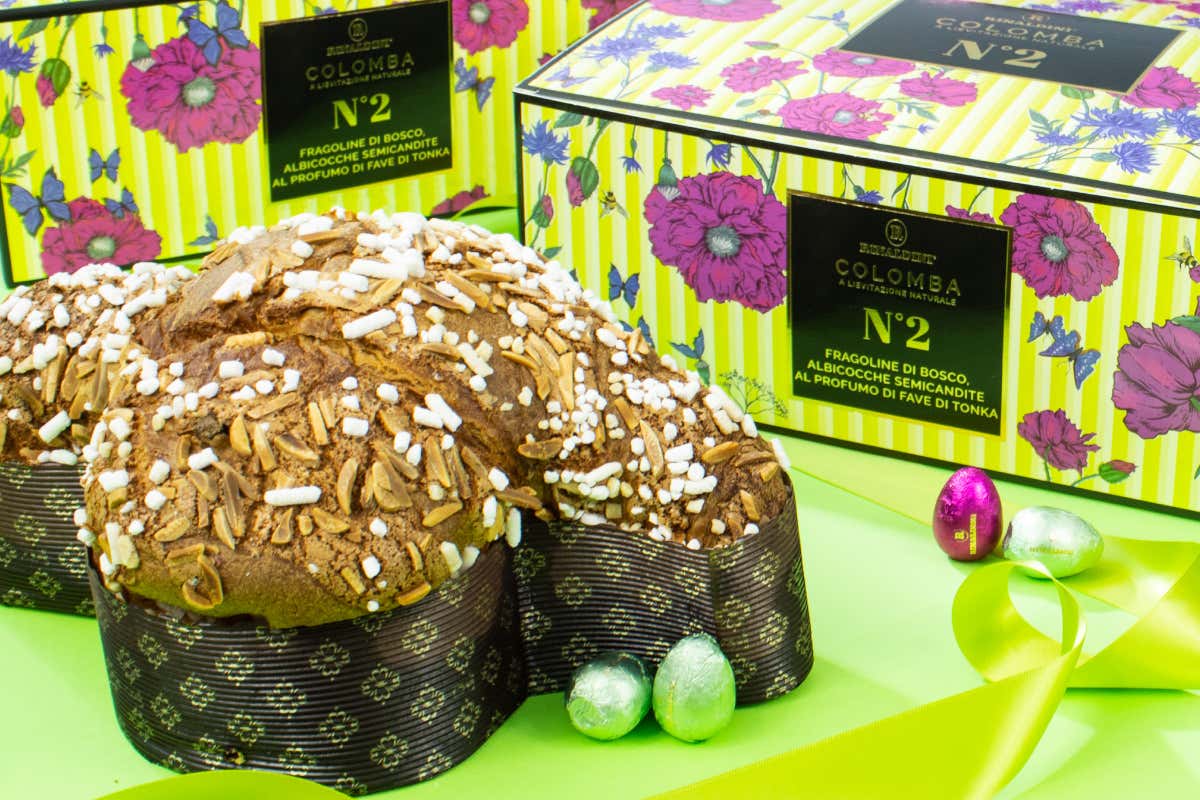 Rinaldini, Colomba N.2 Ecco le nuove colombe di Rinaldini