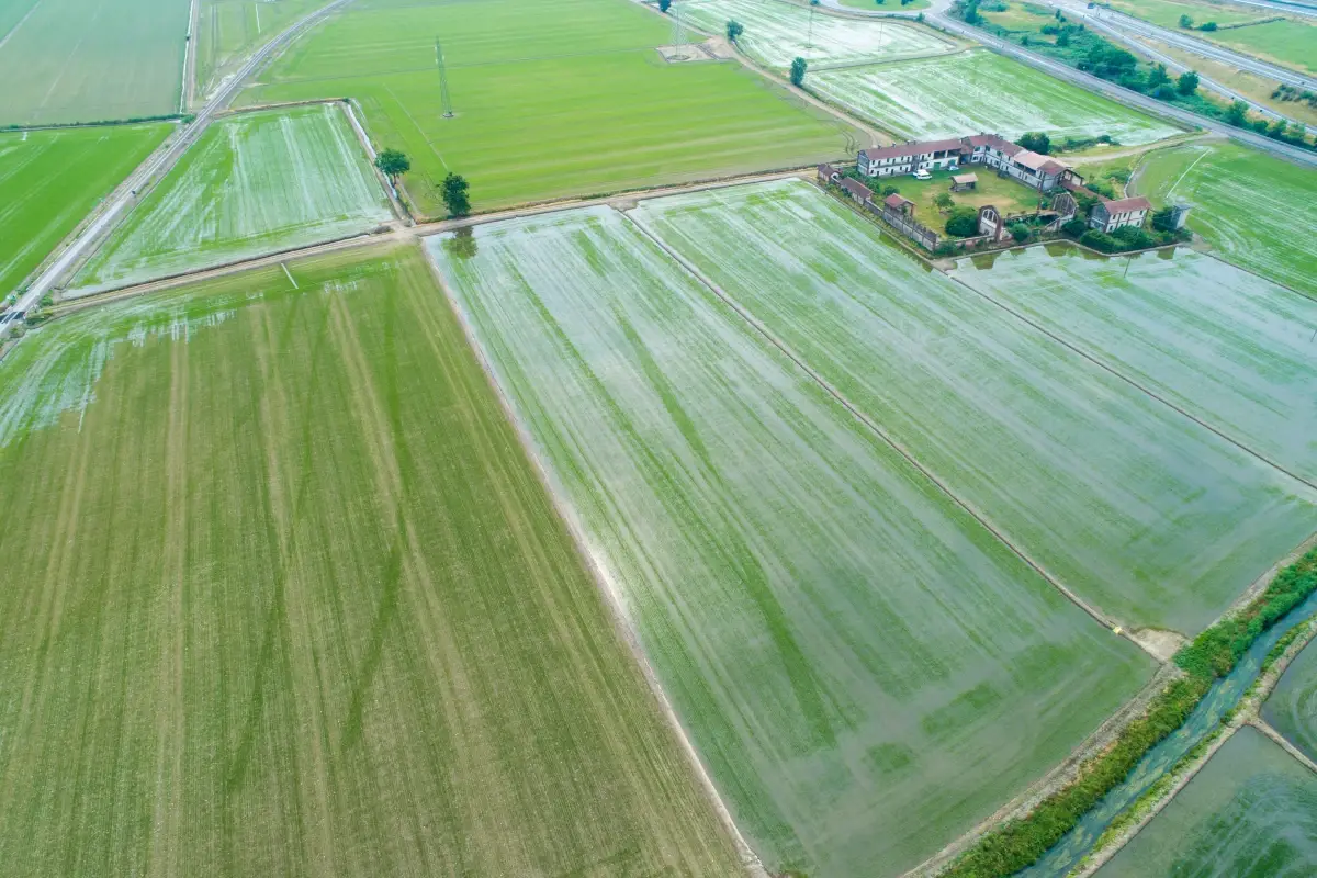 Risaie del Vercellese viste dall'alto&nbsp; Un funambolo sopra le risaie per dire che l'agricoltura &egrave; arte ed equilibrio