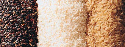 L'Ue sospende i controlli sul riso Ogm importato dagli Usa