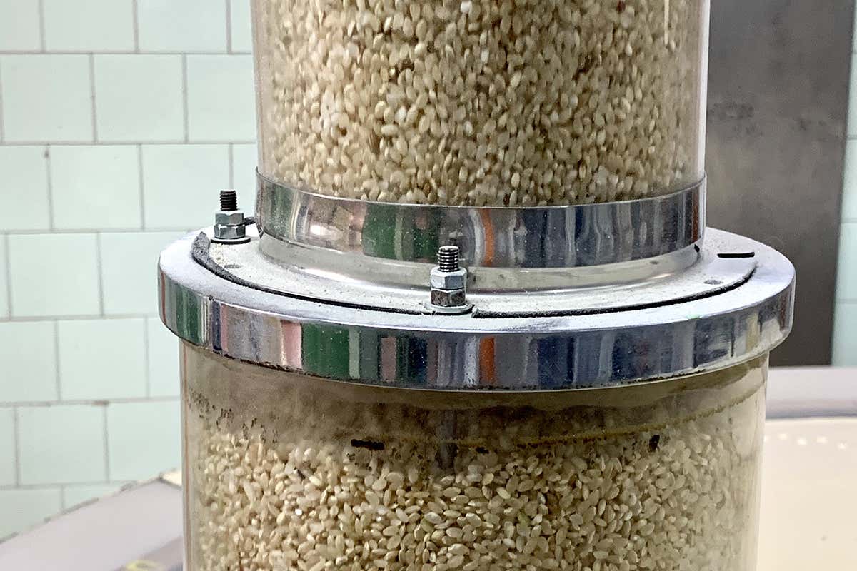 Rigidissimi i controlli a cui è sottoposta la produzione La sostenibilità, valore aggiunto per Riso Gallo