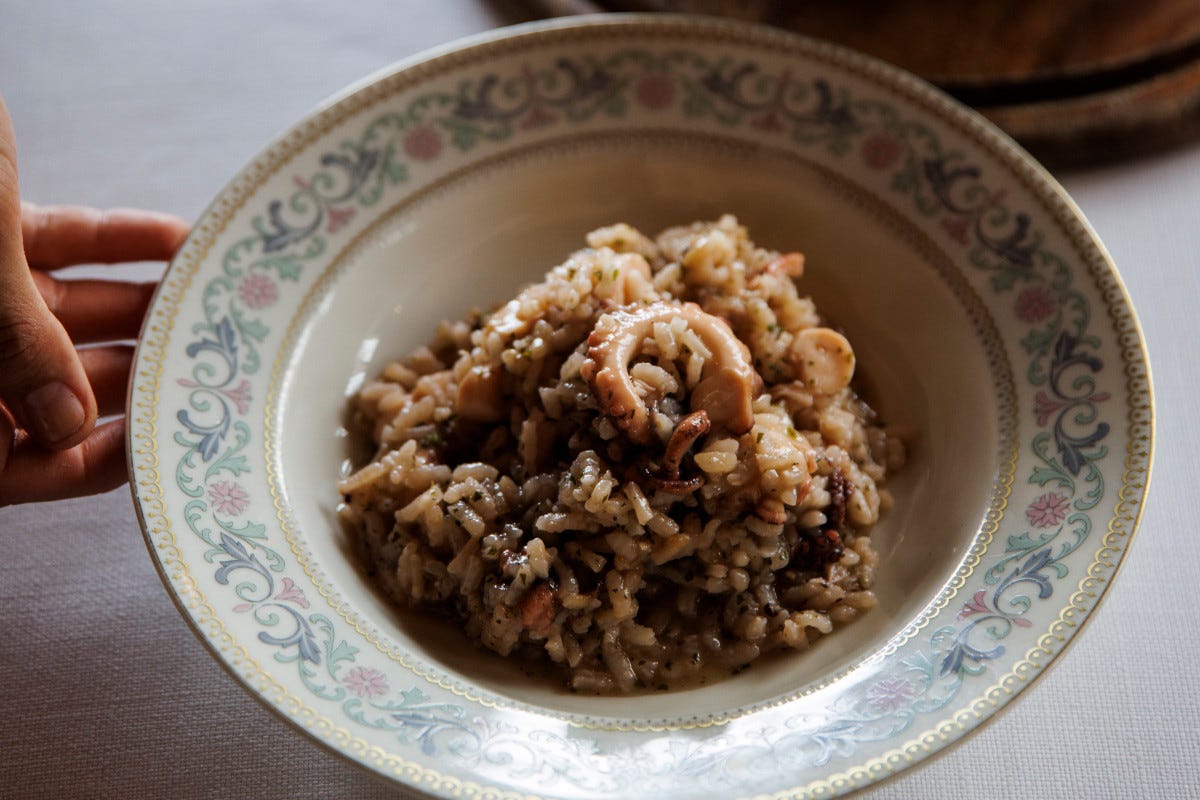 Risotto 1960 with octopus and Marco Polo herbs, the return of Diego Pani to Ventimiglia