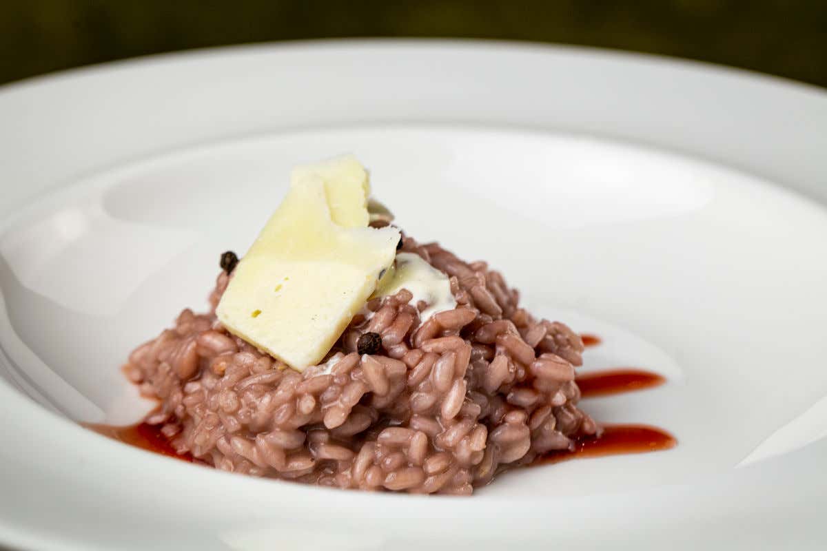 Risotto al picotener (il nebbiolo dimenticato) e pecorino di Moliterno DonnaE Bistrot e il suo Chef Riccardo Pepe al via una nuova proposta gastronomica