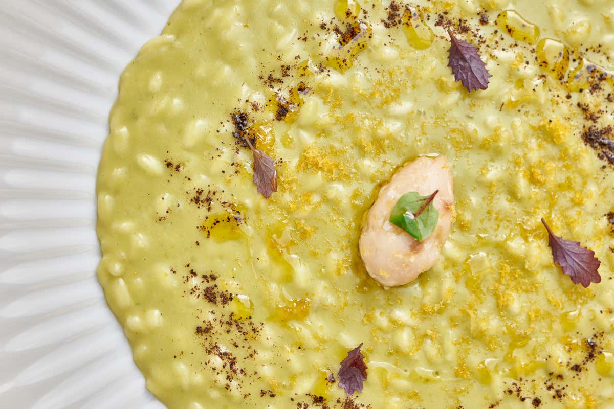 Risotto Carnaroli con asparagi, bottarga di muggine, mascarpone, ricciola