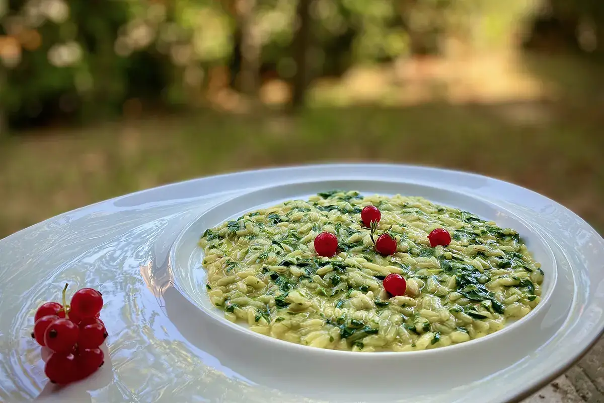 Risotto con ortiche selvatiche e ribes rosso Risotto con ortiche selvatiche e ribes rosso