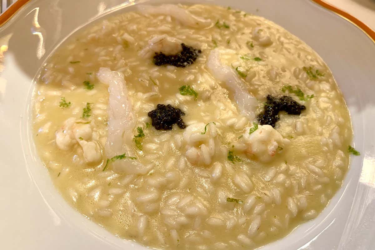 Krug: festa grande per l’annata 2013 e la Grande Cuvée 169ème Édition   