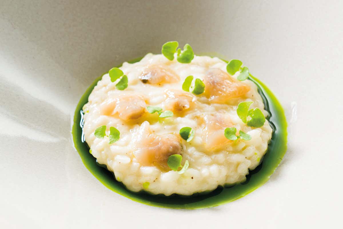 Risotto, soppressa all'aglio veneta, tartufi di mare e basilico Risotto, soppressa all'aglio veneta, tartufi di mare e basilico