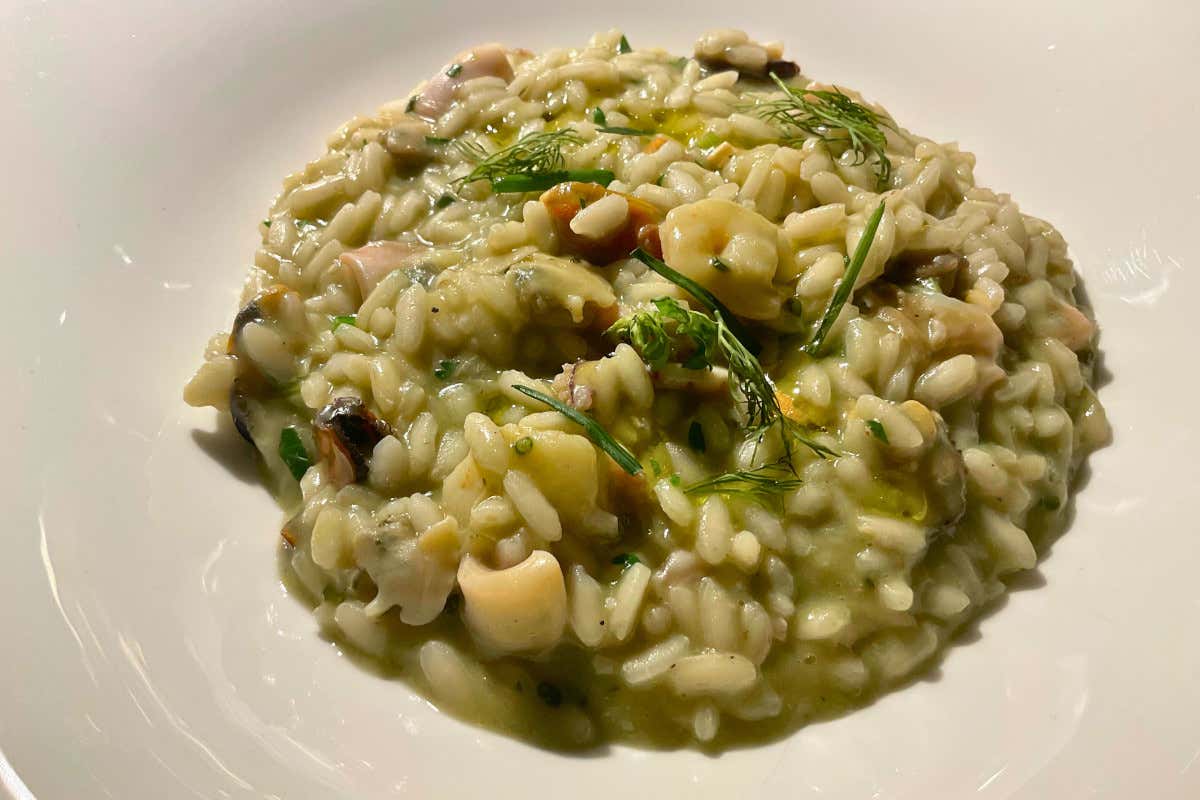 Al “Wine Not?” di Ancona chef Capretta sorprende con la sua cucina bio 