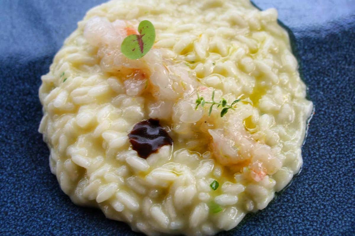 Risotto aglio olio e scampo [[Giro del Golfo in otto giorni]]: il bello e il buono dei Campi Flegrei