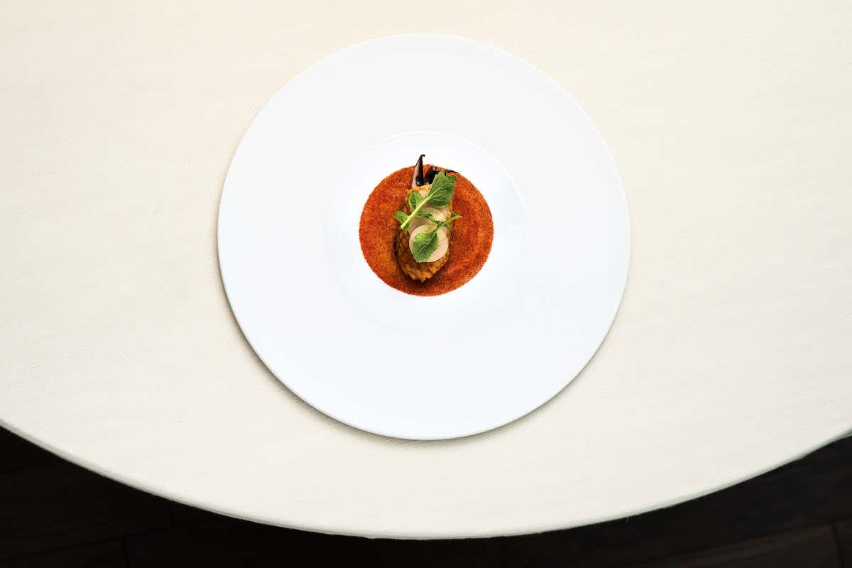 Seppia alla Diavola (foto Massi Ninni) Andrea Aprea torna a Milano: apre il suo ristorante in Porta Venezia