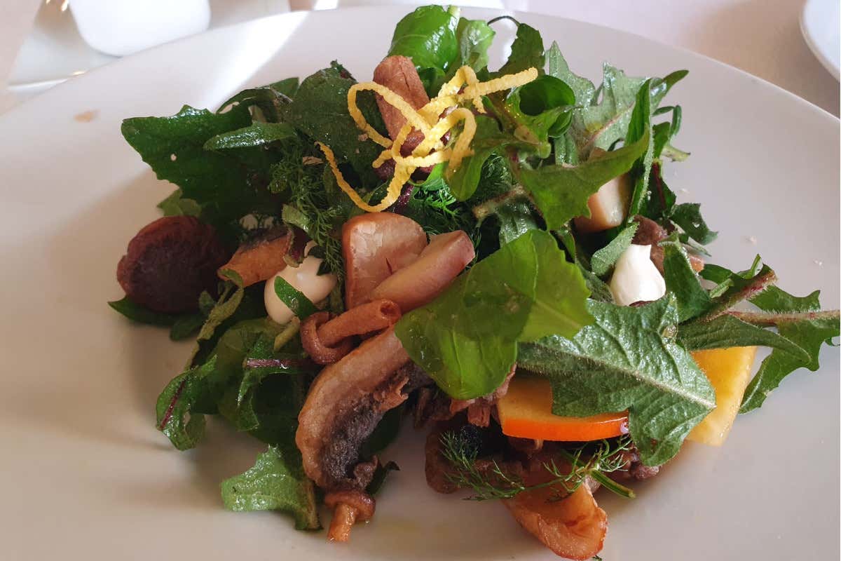 Al ristorante lo Smeraldo di Cingoli, il tartufo è a millimetro zero