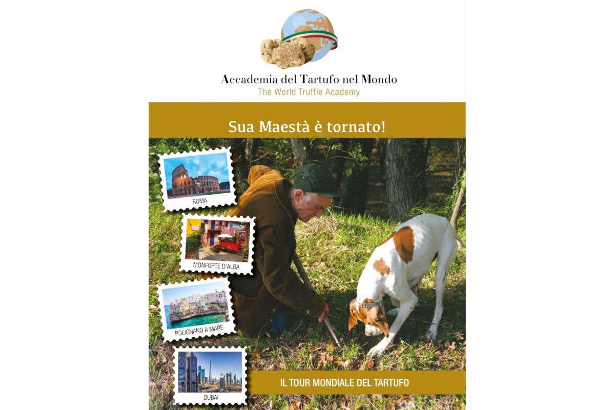 Il tuor mondiale del Tartufo