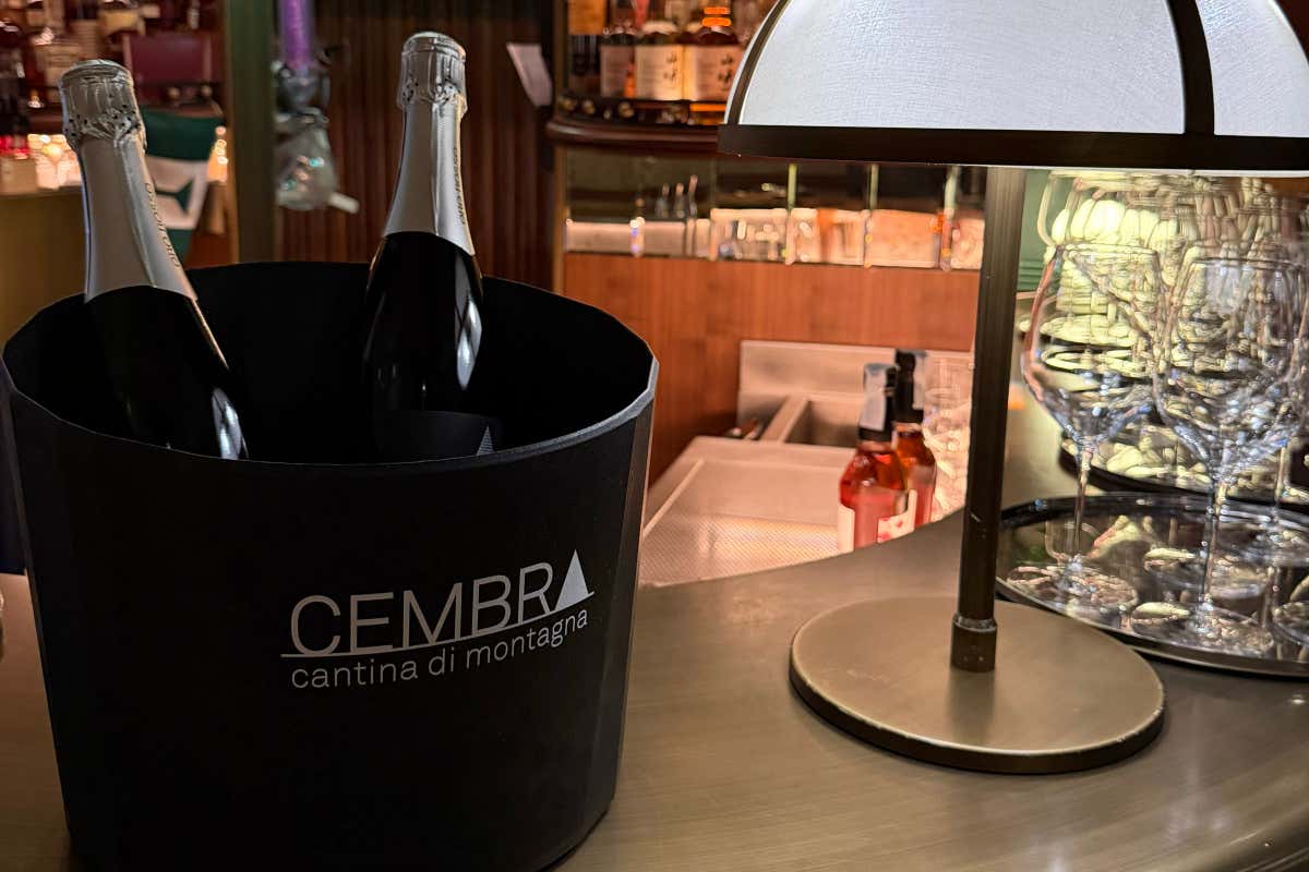 Val di Cembra, il territorio che plasma il Pinot Nero: il TrentoDoc che nasce a 700 metri Val di Cembra, il territorio che plasma il Pinot Nero: il TrentoDoc che nasce a 700 metri