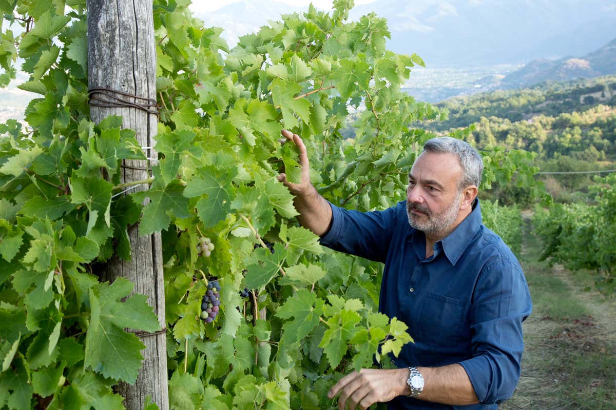 Roberto Di Meo, enologo e patron, insieme al fratello Generoso e alla sorella Erminia dell'Azienda Vitivinicola Di Meo a Salza Irpina (Av) Campania: cresce il mondo del vino ma bisogna investire ancora