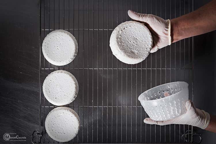 Eventi e degustazioni con la Robiola protagonista - Robiola di Roccaverano Dop Il formaggio traina il territorio