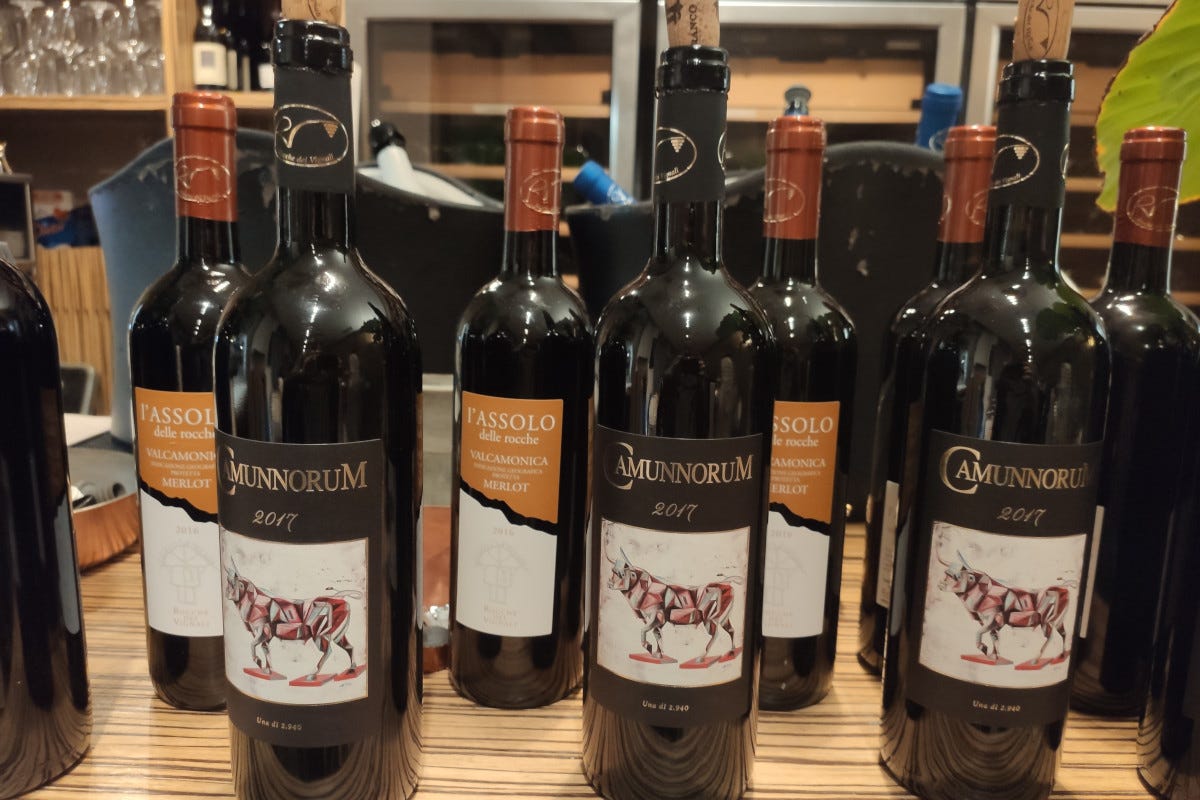Rocche dei Vignali, vini della Val Camonica  Rocche dei Vignali, viticoltura di montagna in Val Camonica