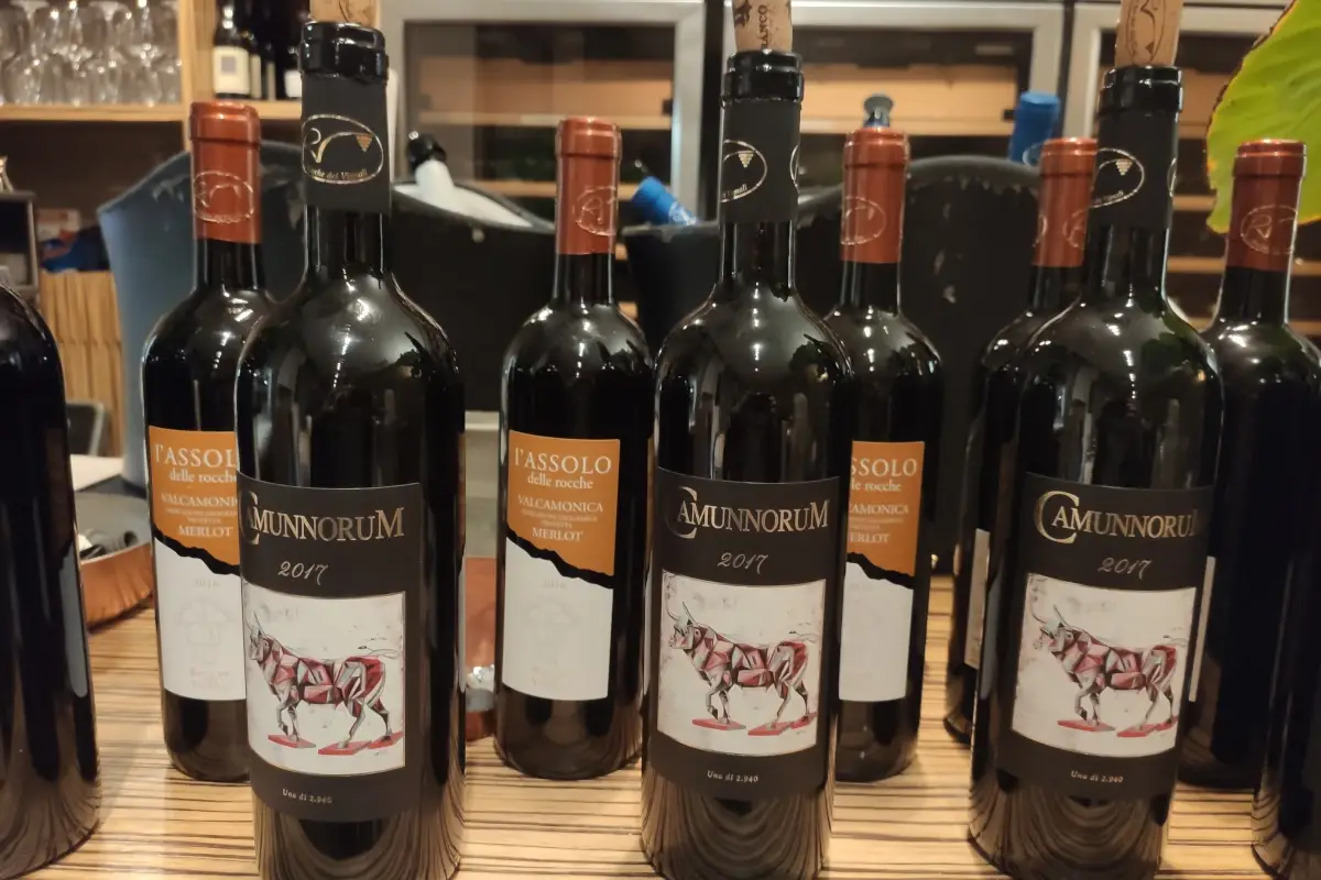 Rocche dei Vignali, vini della Val Camonica&nbsp; Rocche dei Vignali, viticoltura di montagna in Val Camonica