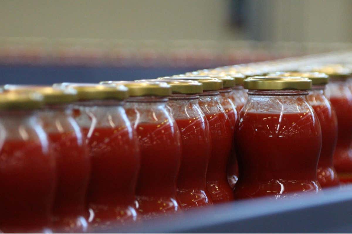 Rodolfi Mansueto presenta linee e formati di pomodoro per la ristorazione Rodolfi Mansueto presenta linee e formati di pomodoro per la ristorazione