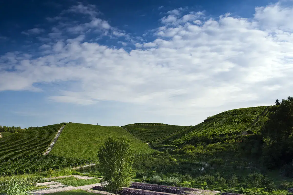 Le colline Patrimonio Unesco Roero, territorio unico per un'enogastronomia d'eccellenza