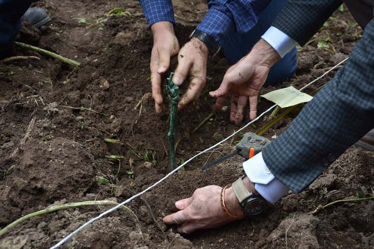 Ci sar&agrave; spazio anche per parlare dei vitigni autoctoni (A Roma Hortus Vini degustazioni al chiaro di luna)