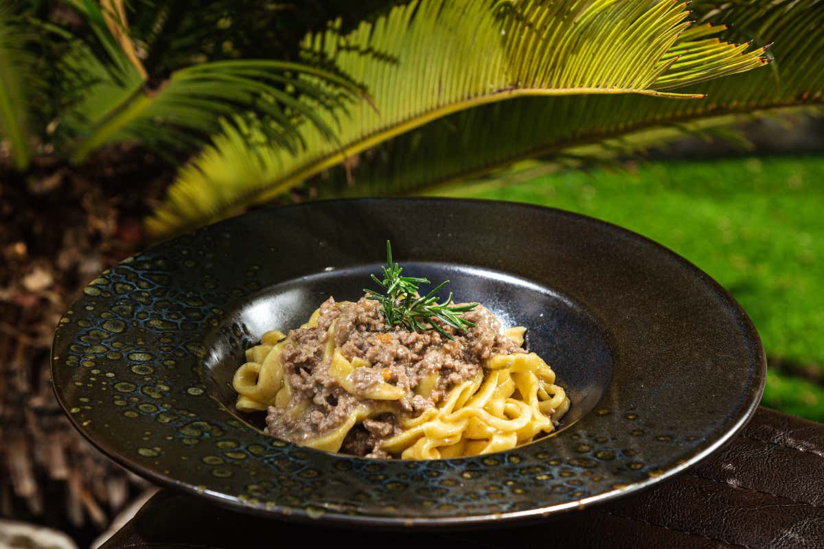Fettuccina al ragu bianco Ju-Manji: nuova vita per lo storico locale di Aldo Fabrizi