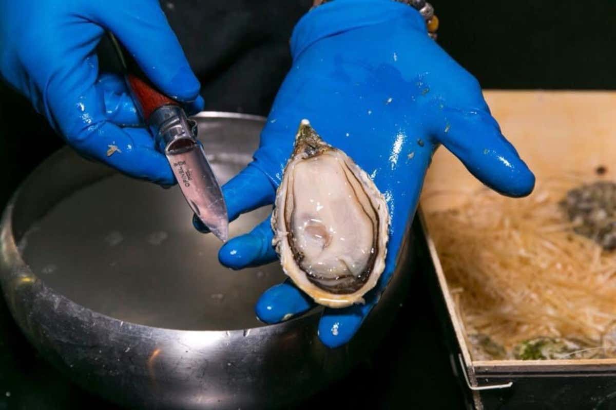 Bevi vino e mangia ostriche da Triodinamico a Roma