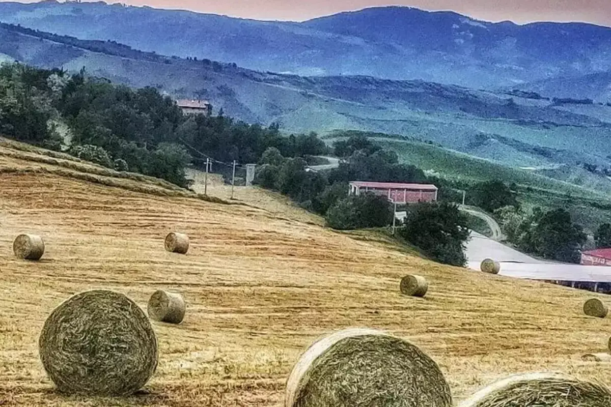 L'entroterra romagnolo &egrave; un mondo seducente Le mille virt&ugrave; della Romagna, oltre la Riviera