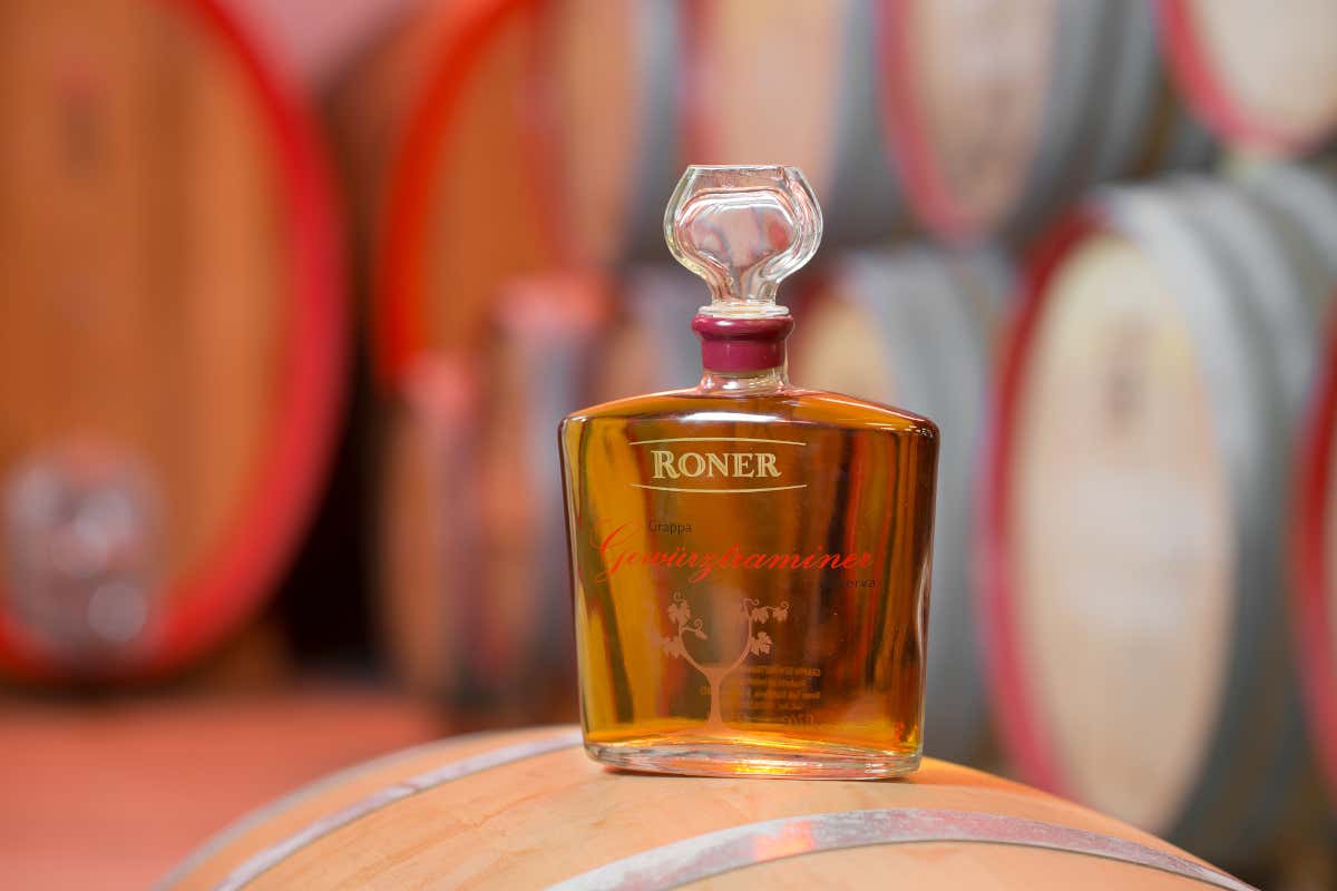 Il segreto della grappa Roner: come nasce la Gewürztraminer Riserva